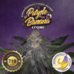 Purple Banana Cream 7+1. FEM / 710 SPECIAL / SOUVENIR